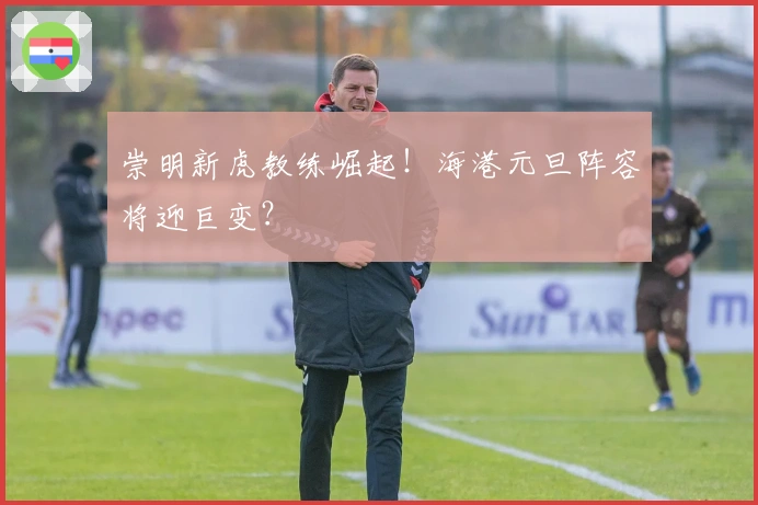 崇明新虎教练崛起！海港元旦阵容将迎巨变？