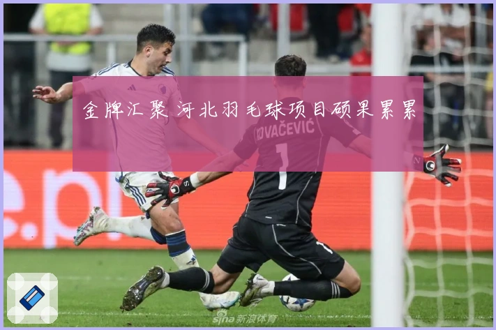 金牌汇聚 河北羽毛球项目硕果累累