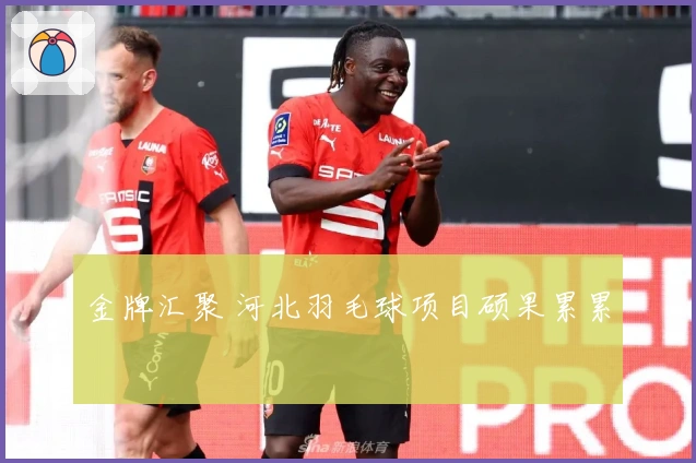 金牌汇聚 河北羽毛球项目硕果累累