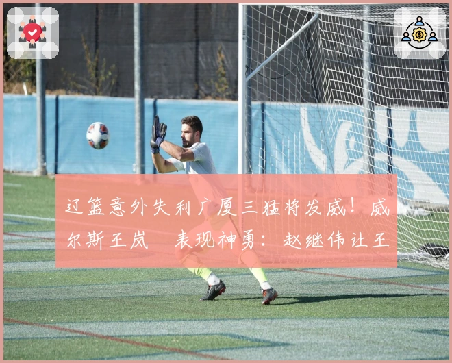 辽篮意外失利广厦三猛将发威！威尔斯王岚嵚表现神勇：赵继伟让王博陷入困境？