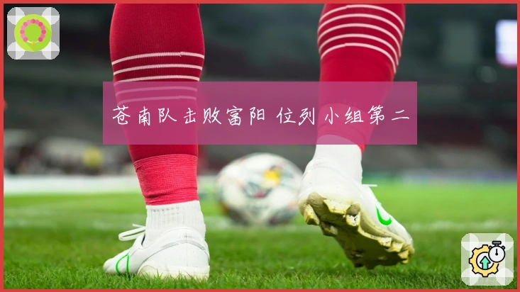 苍南队击败富阳 位列小组第二